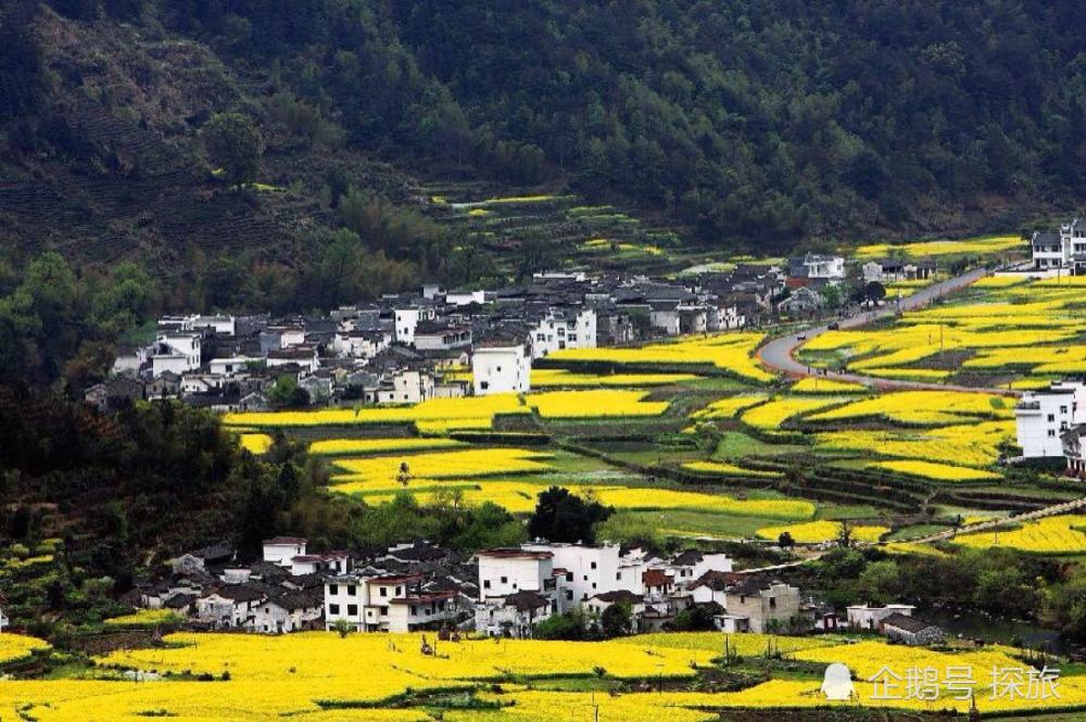 江西绿色崛起与文化传承之旅