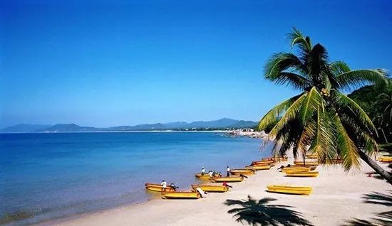 椰风海韵，海南情怀的舞台演绎