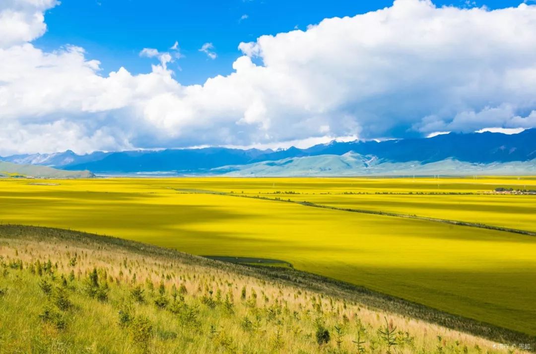 高原风情演绎，青海湖边的民族服饰秀